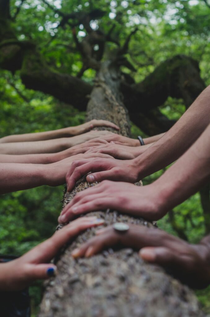 Why Collaboration is Key in Community Development